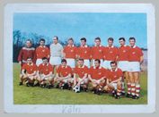 Ein Sammelbild der Mannschaft des  1. FC Köln (1962) aus meinem Fotoalbum