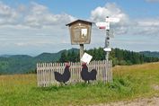 Hahn-und Henne-Runde – Wegweiser mit Hühnerpaar am Haldeneck