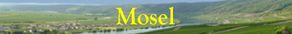 Mosel – Infos, Ausflugsziele, Sehenswürdigkeiten